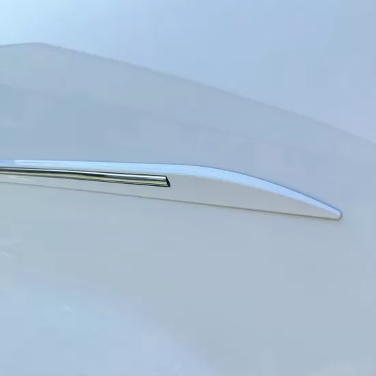 Painted Molding with Chrome Insert : Nissan Sentra Painted